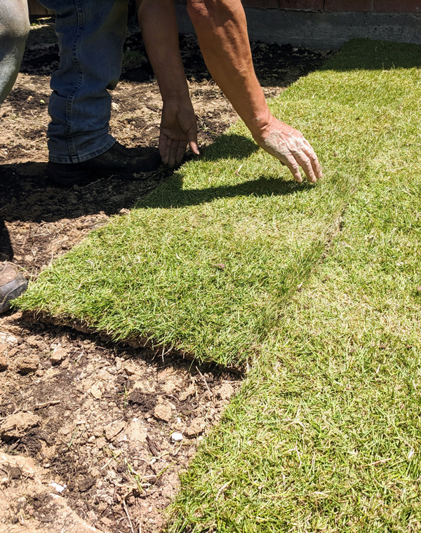 Sod installation in Austin TX