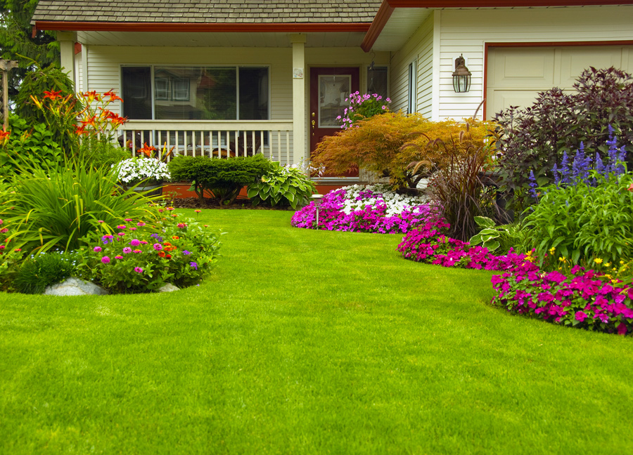 landscape design and construction services